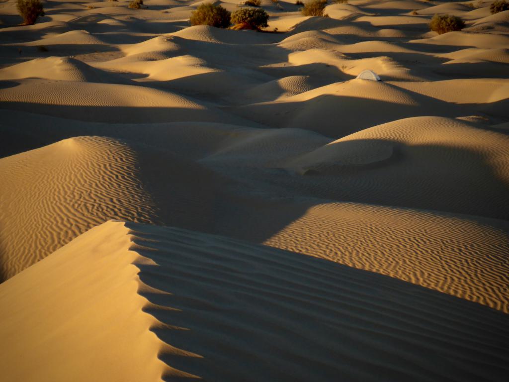 2020 Tunesien 3_6.jpeg