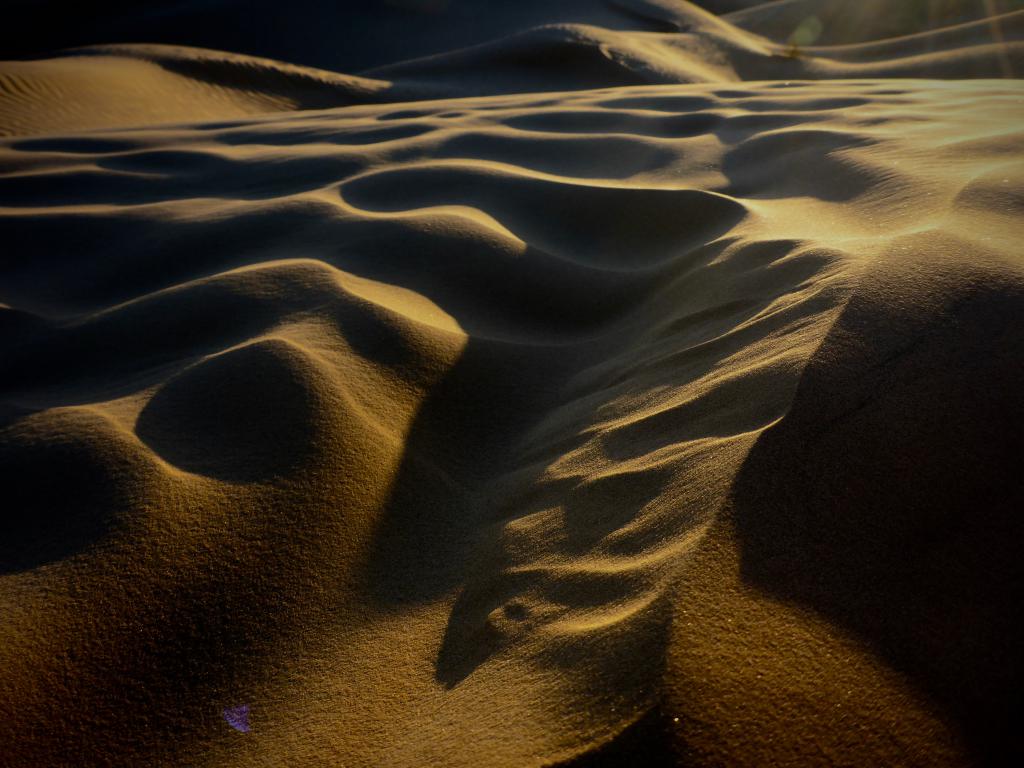 2020 Tunesien 3_7.jpeg