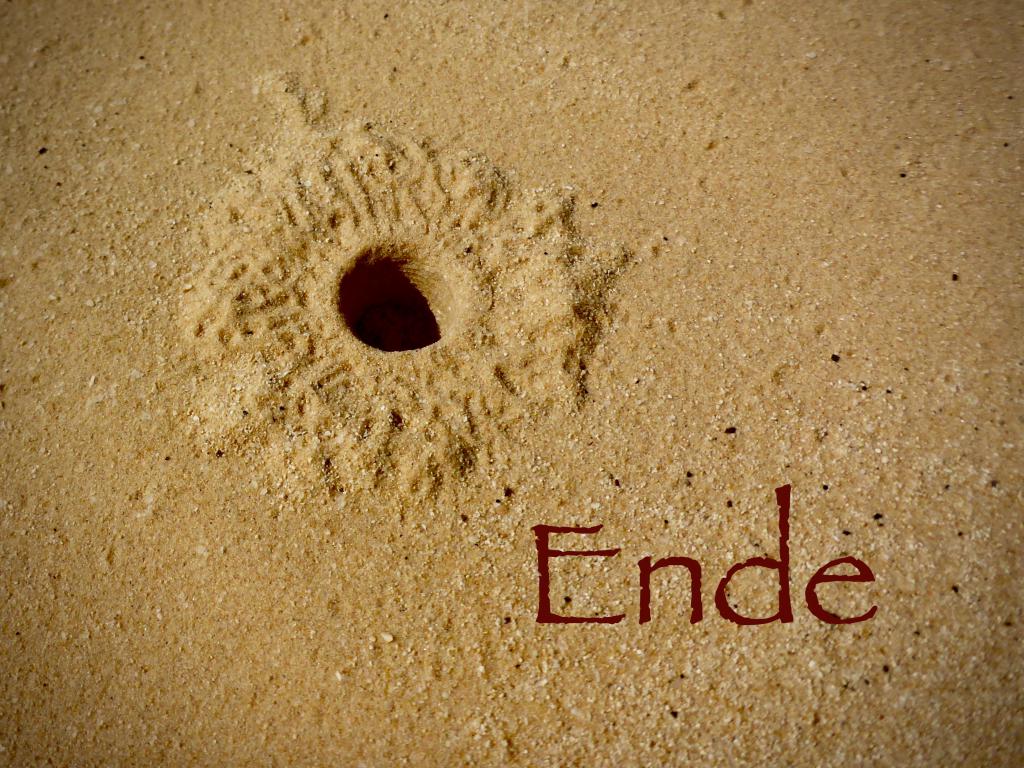 2020 Tunesien 3_23.jpeg