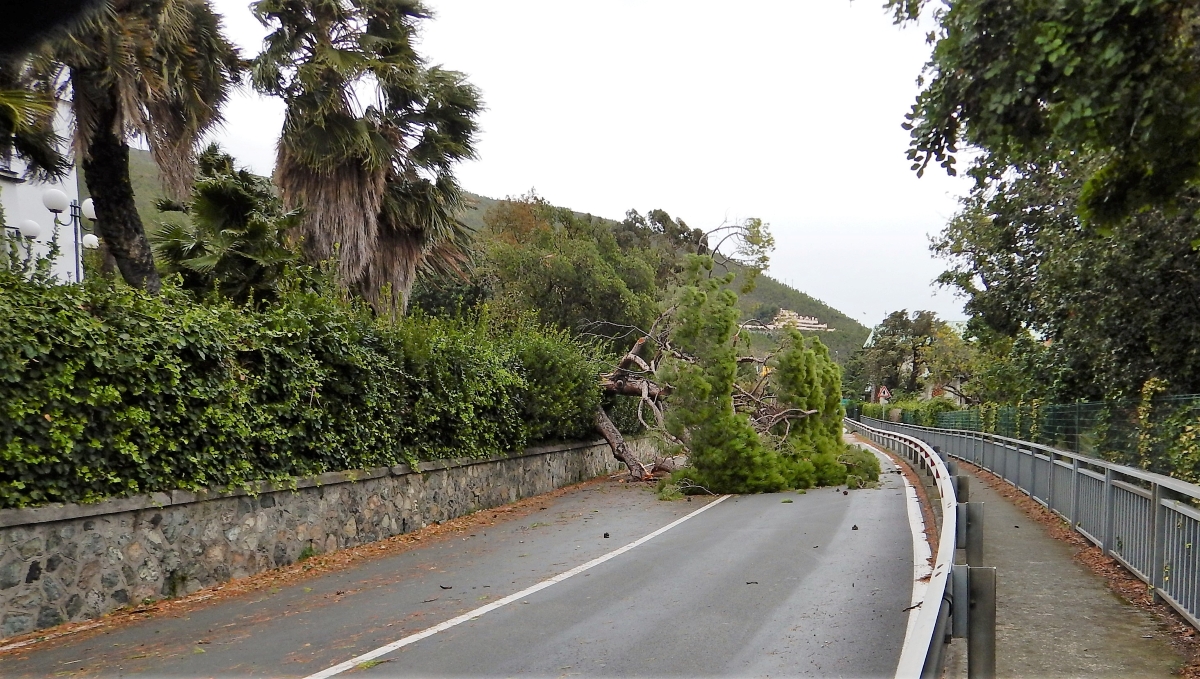 DSCN1777.1.JPG