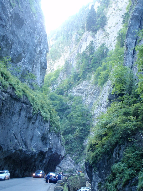 P8261157.JPG