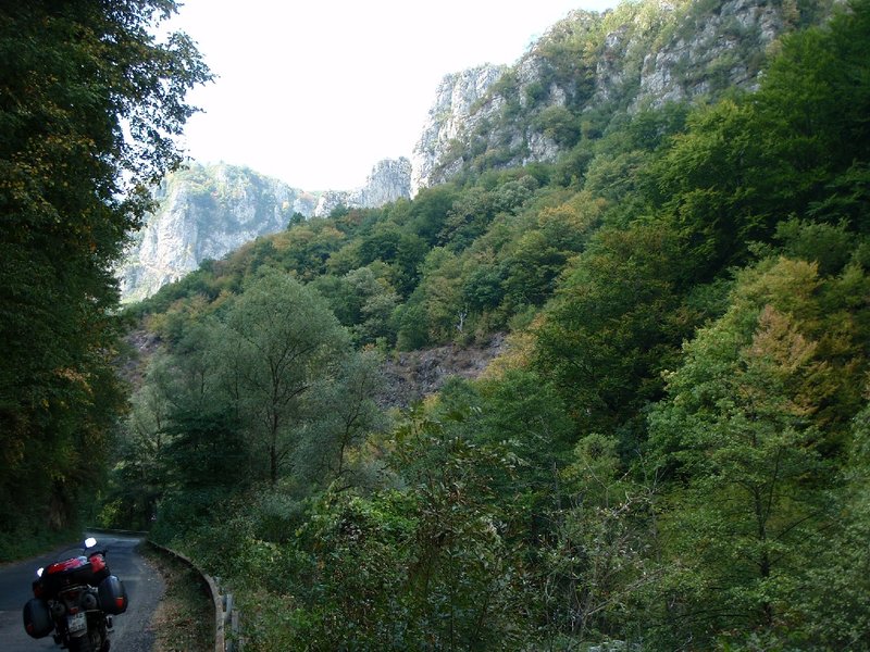 P9031267.JPG