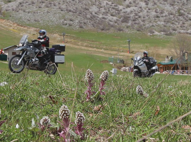 648×480 PAsso GOdi.jpg PanScan.jpg