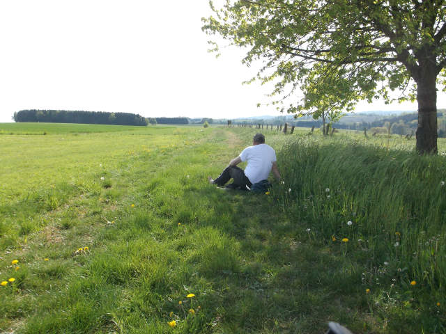 nochmal Rast in der Nähe von Ingwiller