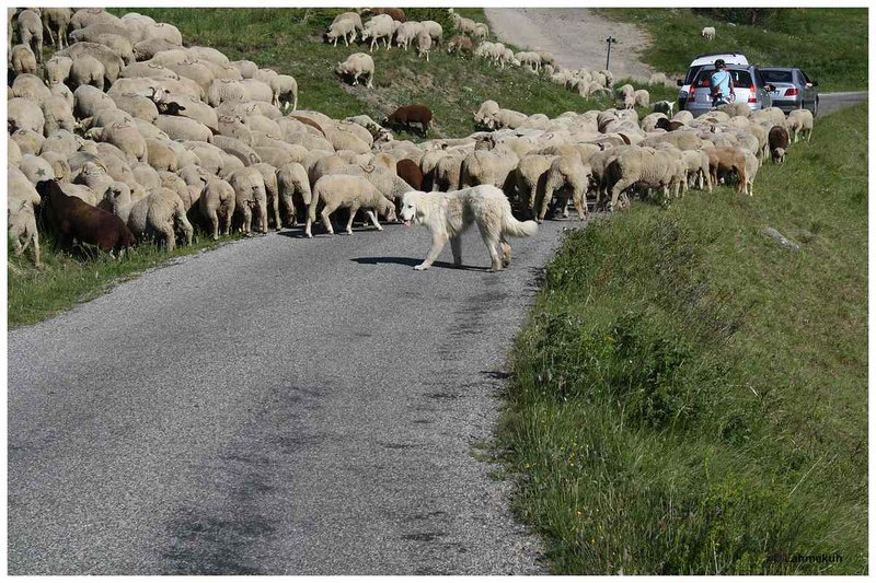 2013-00331kompr.jpg (147.94 KiB) 3214 mal betrachtet Bei Le Villard Laté