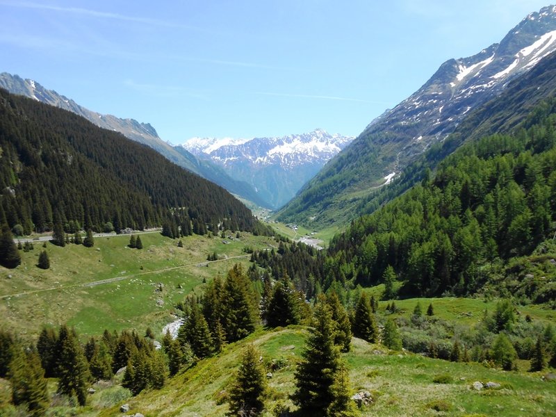 DSCN2146.JPG