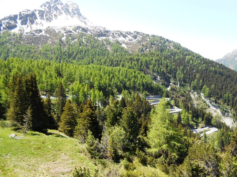 DSCN2285.JPG