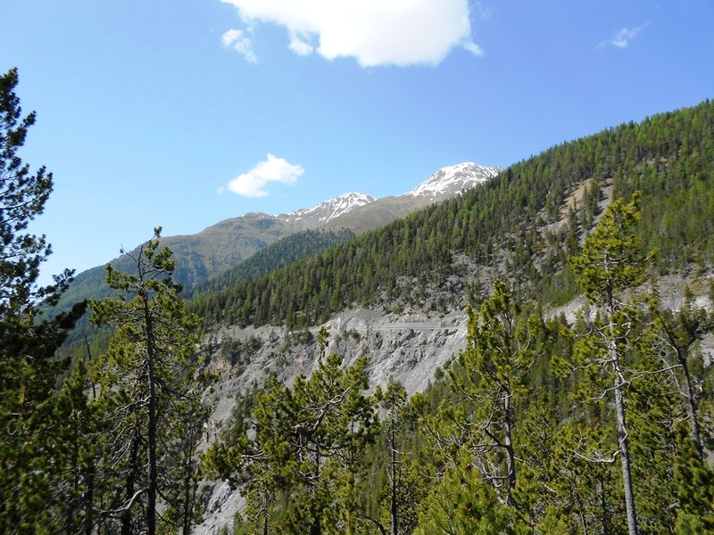 DSCN2343.JPG
