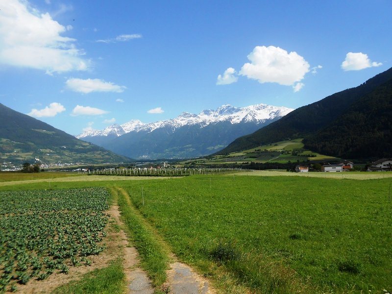 DSCN2358.JPG