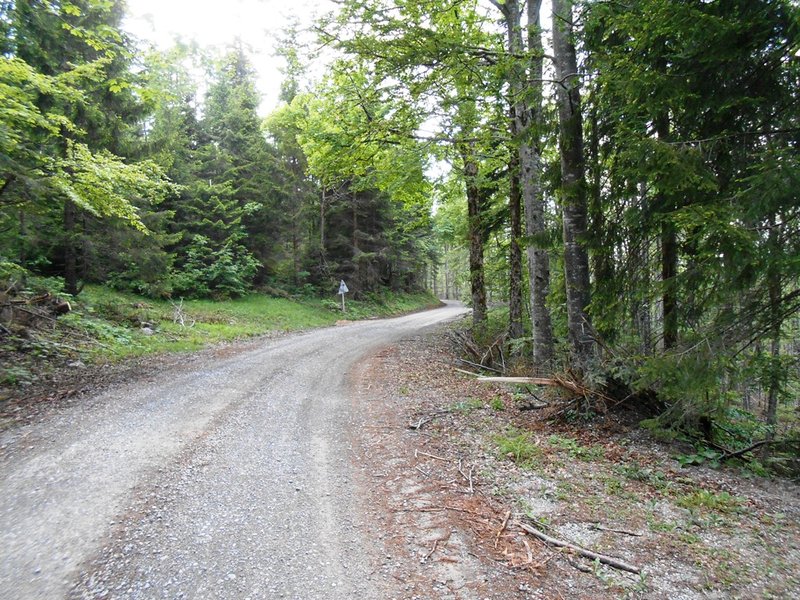 DSCN1823.JPG