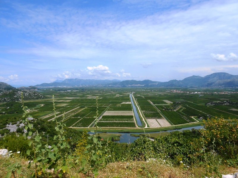 DSCN2057.JPG