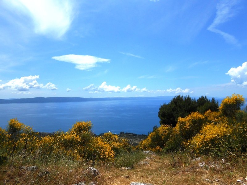 DSCN2063.JPG
