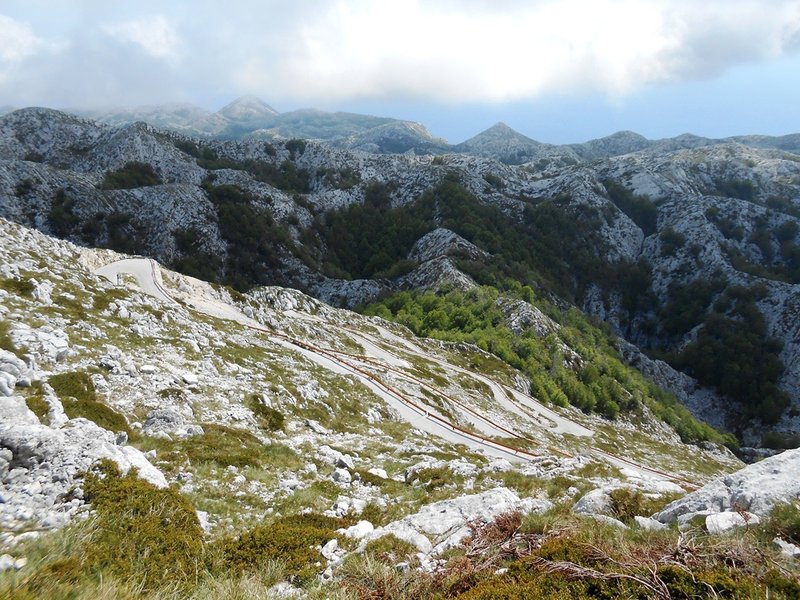DSCN2082.JPG