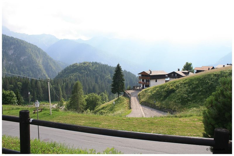 Sauris