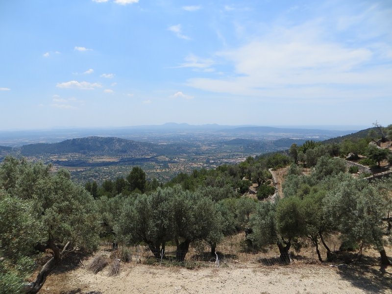 Ausblick d'Alaro..JPG