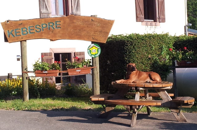 Hofhund der Auberge