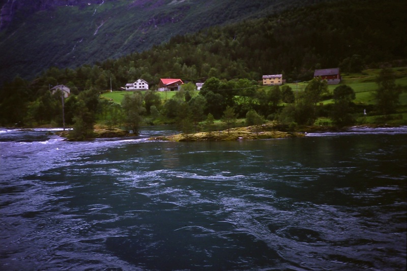 DSC00050-kl.jpg