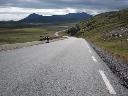 Rückweg vom Nordkap