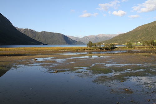 Am Gullesfjord