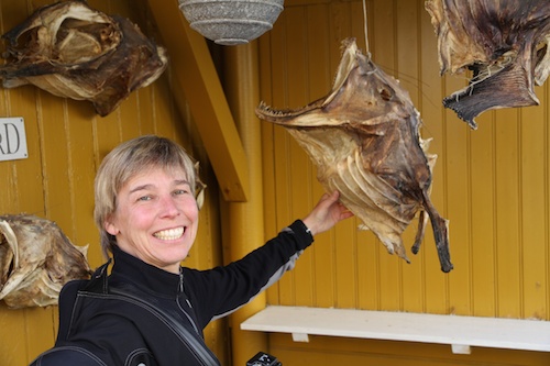Norwegisches Mobile: getrocknete Fischköpfe