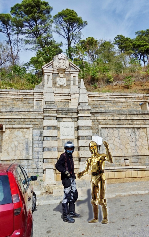C2-und-C3-po.jpg