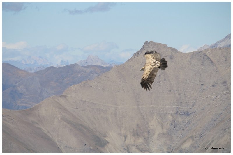 Cime de la Bonette