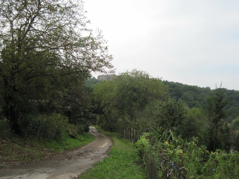 IMG_4708.JPG