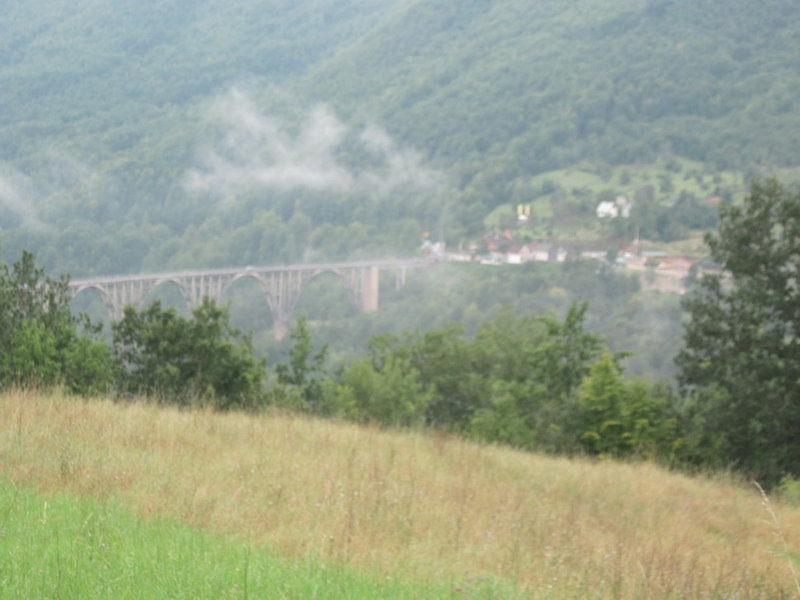 IMG_4741.JPG