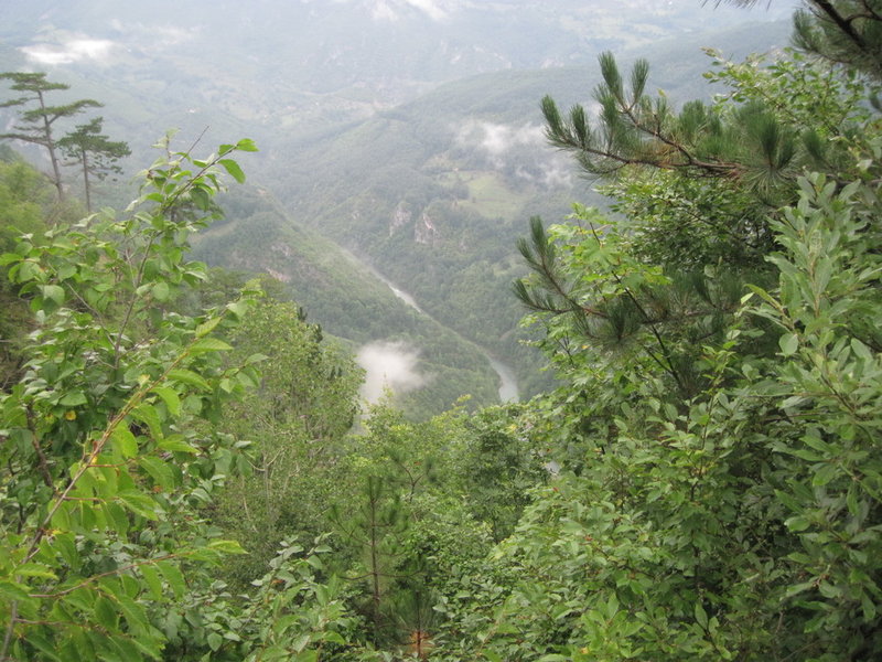 IMG_4750.JPG