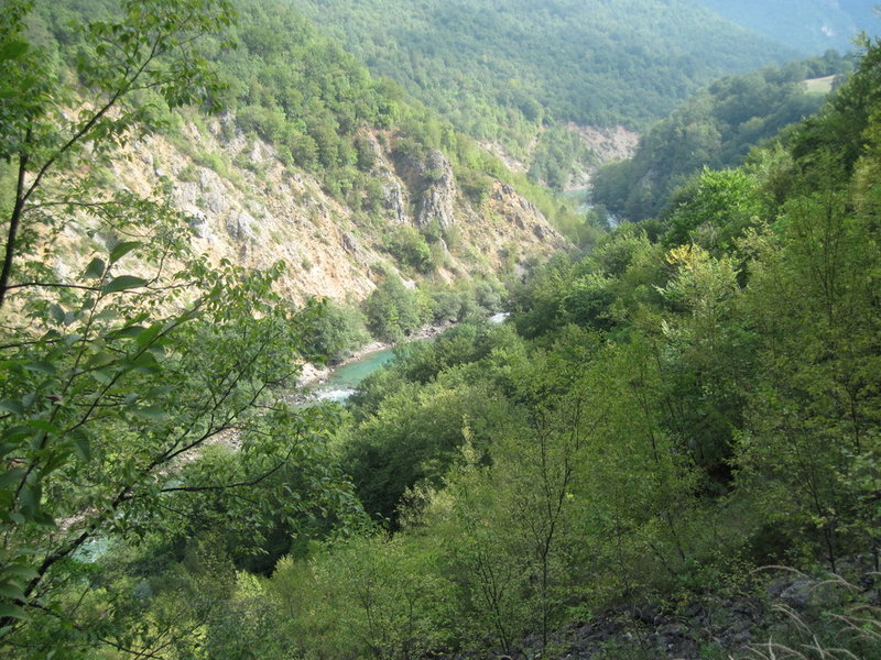 IMG_4782.JPG