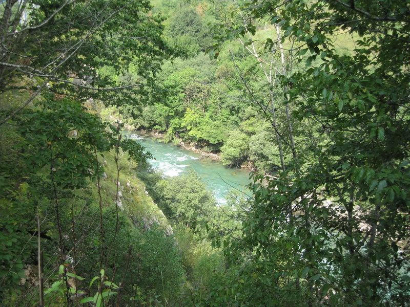 IMG_4785.JPG