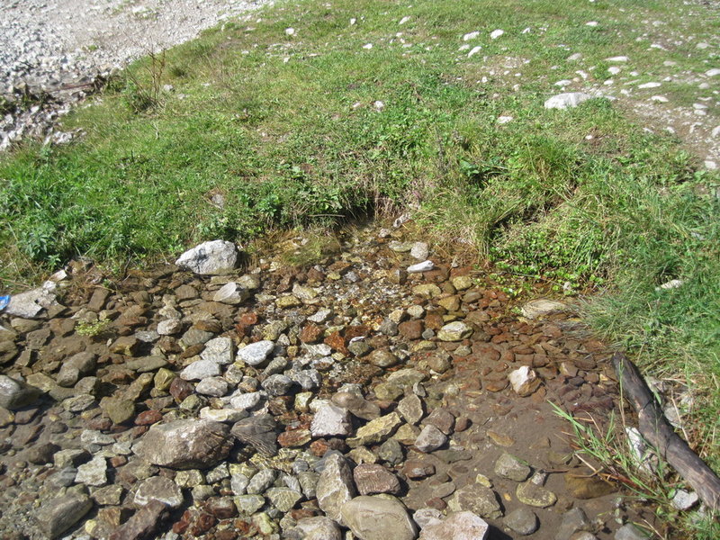 IMG_4880.JPG