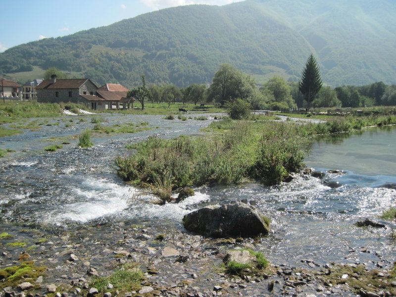 IMG_4883.JPG