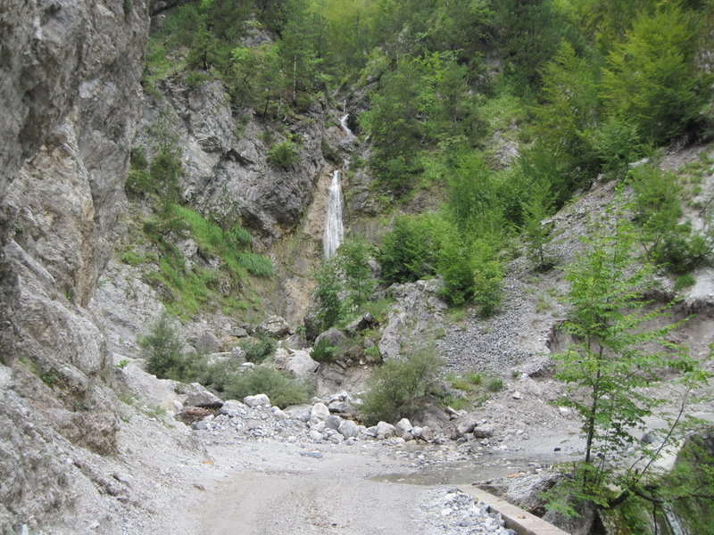 IMG_4978.JPG