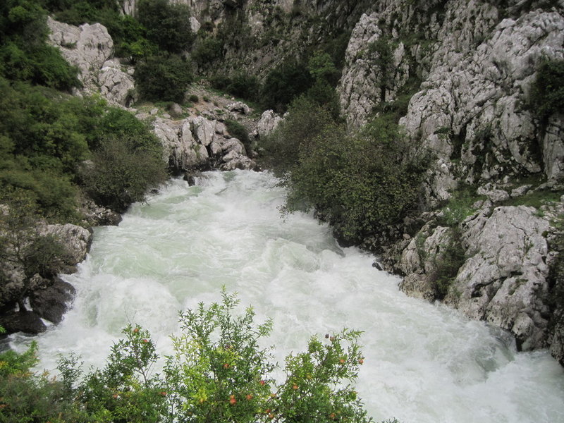 IMG_5048.JPG