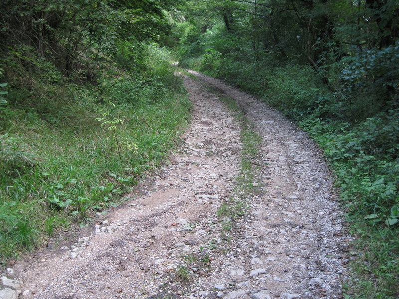 IMG_5109.JPG