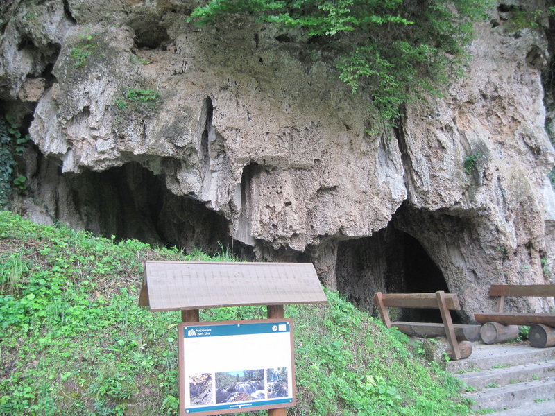 IMG_5117.JPG