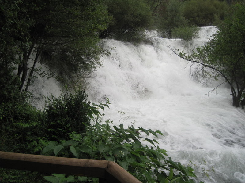 IMG_5126.JPG