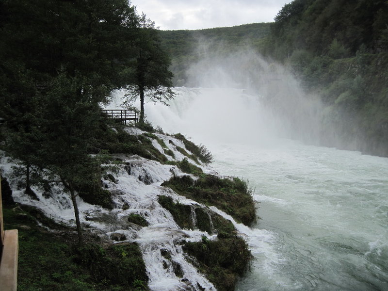 IMG_5176.JPG