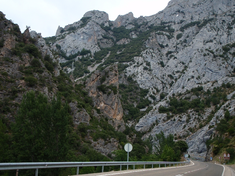 P9031589.JPG