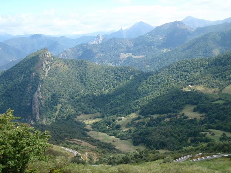 P9031596.JPG