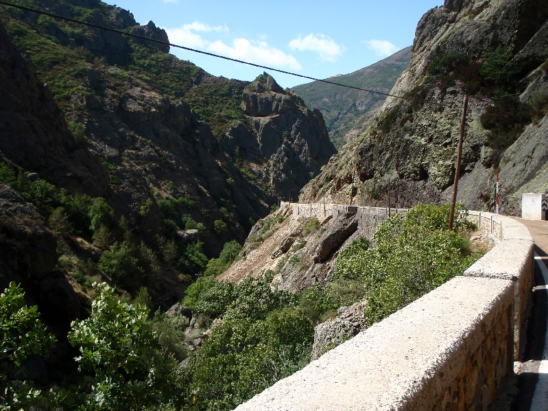 P9031600.JPG