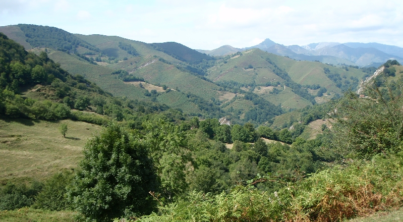 P9041619.JPG