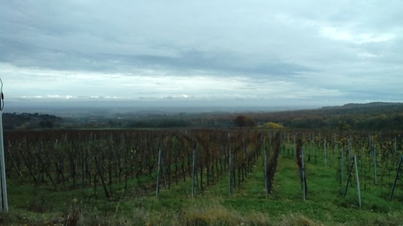 IMG_20141115_131706.jpg