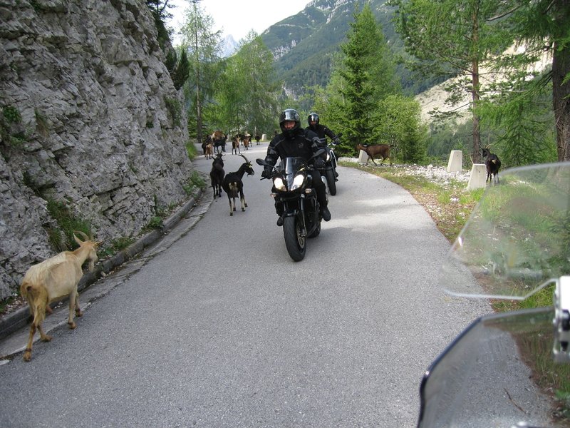 k-Mangardrunde 029.JPG