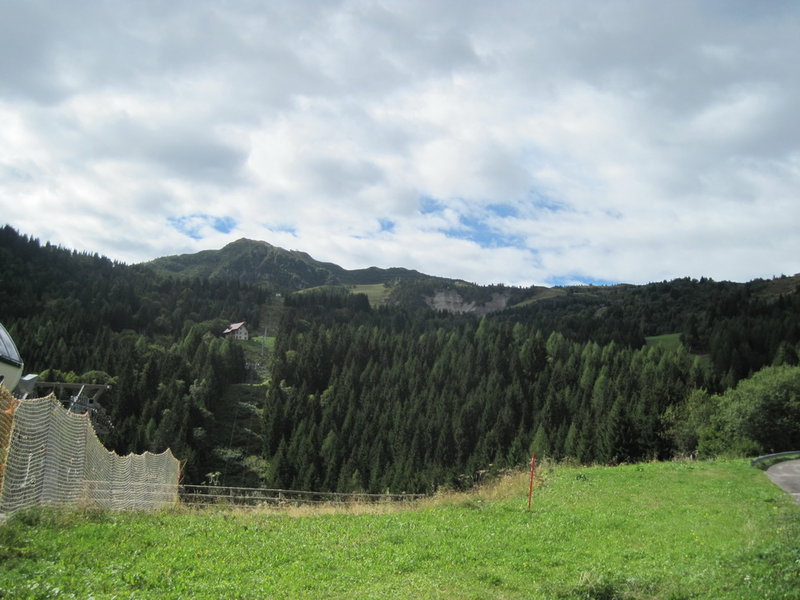 IMG_3737.JPG