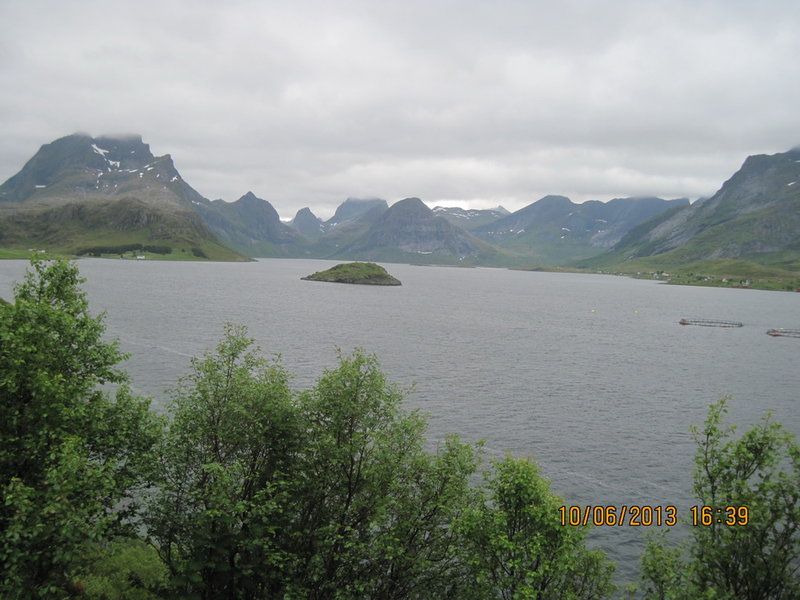IMG_3115.JPG