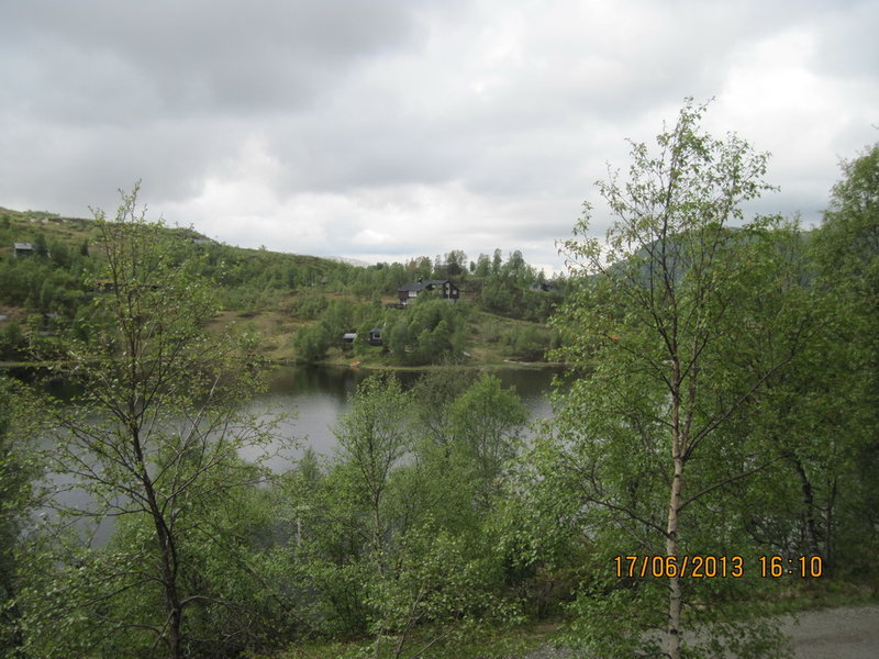 IMG_3459.JPG