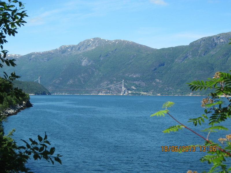 IMG_3508.JPG