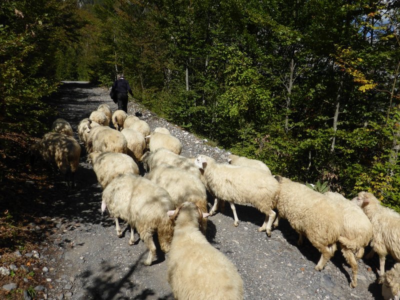 k-Albanien 2013   1. Teil 152.JPG